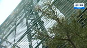 В Находке на «Терминале Астафьева» подводят итоги выполнения социально-экологических программ